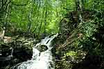 Waterfall in Crimea