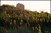 Cape Bashennyj (Tower)