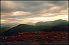 A Dusk Near Mount Hoverla