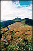 Mount Hoverla