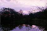 Purple Lake