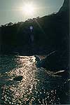 Scenics