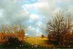 Scenics