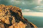 Scenics