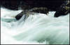 Water.