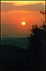 Sunset.