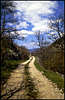 The Road.