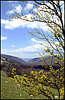 Crimean Landscape.