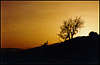 Tower Cape (Bashennyj). Sunset.
