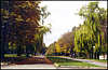Chkalova Recreation Park.