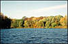 Golosiiv Forest. Autumn.