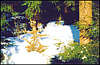 Ski Resort 'Beskyd'. In the Forest.