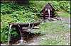 Lake Synevyr. Water.