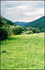 Alpine Valley.