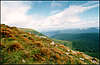 Carpathian Landscape.