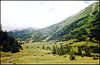 Alpine Valley.