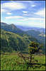 Carpathian Landscape. View from mt. Turkul.