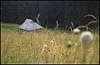 The Cottage.