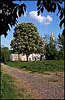 Lavra. Chestnuts in Blossom.