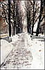 Khreshchatyk street in winter.