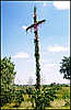 Holy Trinity Day Decoration.
